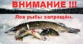 о запрете ловли рыбы в зим.ямах